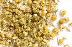 Chamomile and yeast infections